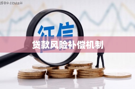 大甲贷款风险补偿机制