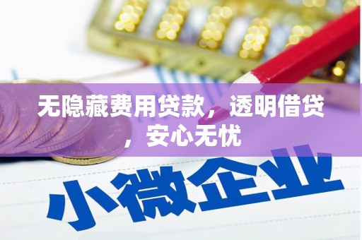 大甲无隐藏费用贷款，透明借贷，安心无忧