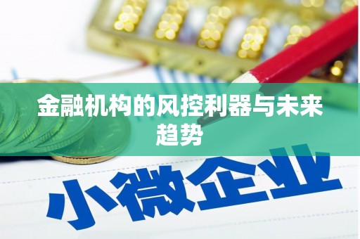 大甲金融机构的风控利器与未来趋势