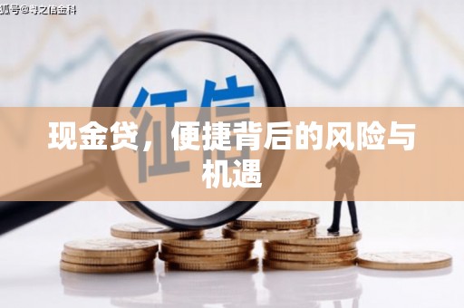 大甲现金贷，便捷背后的风险与机遇