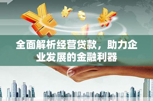大甲全面解析经营贷款，助力企业发展的金融利器