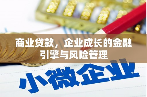 大甲商业贷款，企业成长的金融引擎与风险管理