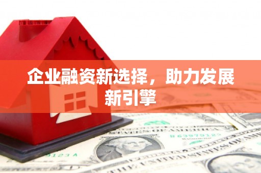 大甲企业融资新选择，助力发展新引擎