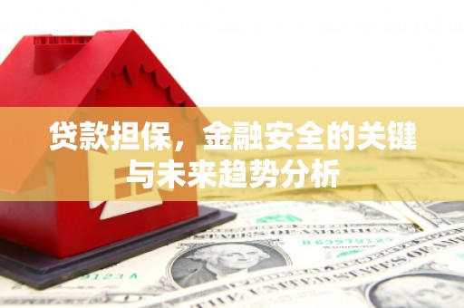 大甲贷款担保，金融安全的关键与未来趋势分析