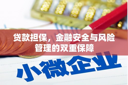 大甲贷款担保，金融安全与风险管理的双重保障