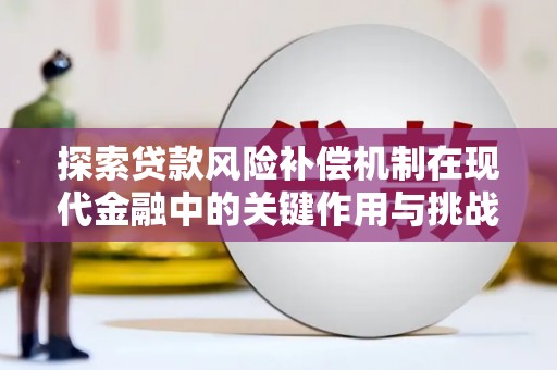 大甲探索贷款风险补偿机制在现代金融中的关键作用与挑战