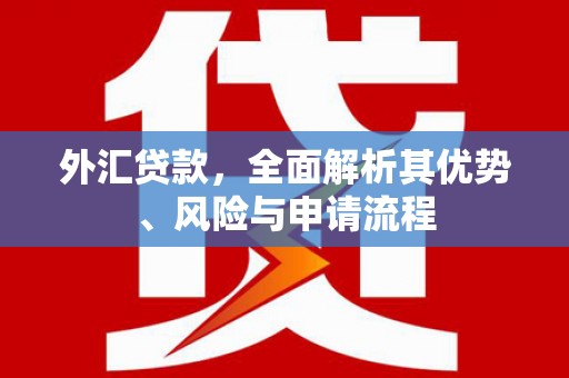 大甲外汇贷款，全面解析其优势、风险与申请流程