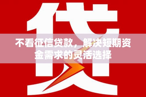 大甲不看征信贷款，解决短期资金需求的灵活选择