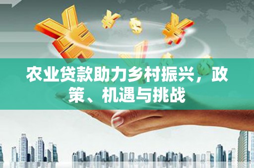大甲农业贷款助力乡村振兴，政策、机遇与挑战