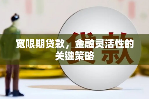 大甲宽限期贷款，金融灵活性的关键策略