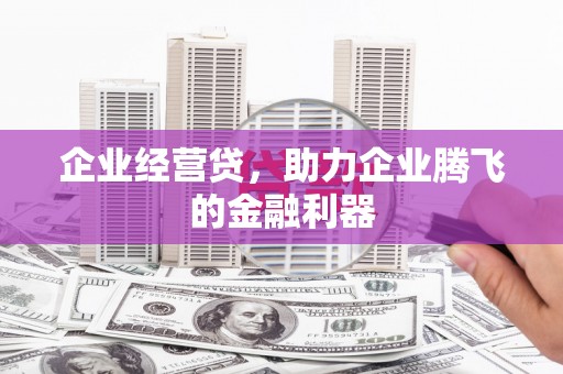 大甲企业经营贷，助力企业腾飞的金融利器