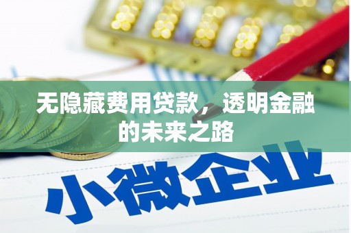 大甲无隐藏费用贷款，透明金融的未来之路