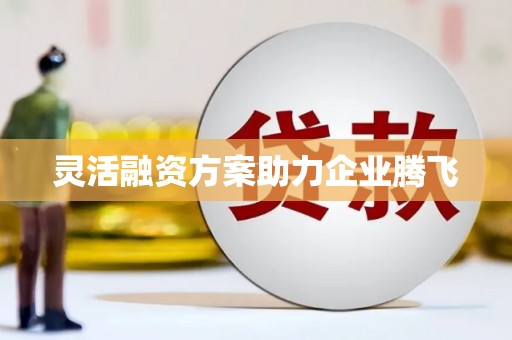 大甲灵活融资方案助力企业腾飞