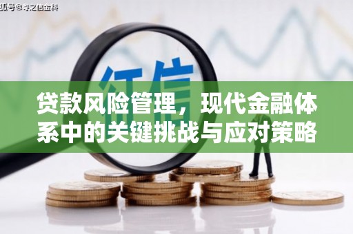 大甲贷款风险管理，现代金融体系中的关键挑战与应对策略