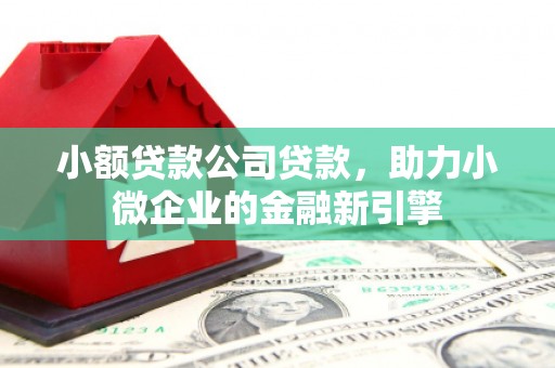 大甲小额贷款公司贷款，助力小微企业的金融新引擎