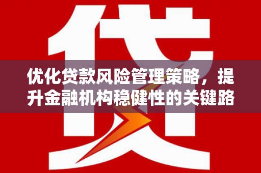 大甲优化贷款风险管理策略，提升金融机构稳健性的关键路径
