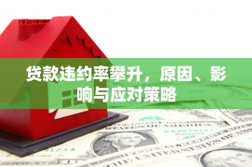 大甲贷款违约率攀升，原因、影响与应对策略