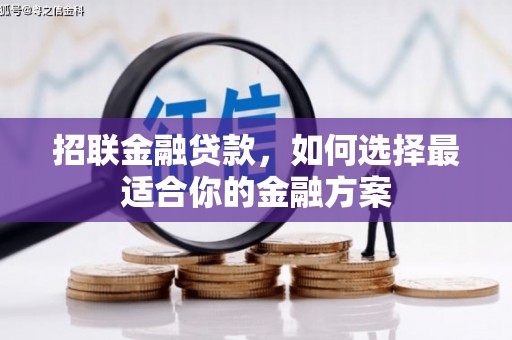 大甲招联金融贷款，如何选择最适合你的金融方案