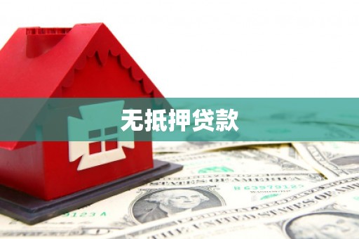 大甲无抵押贷款