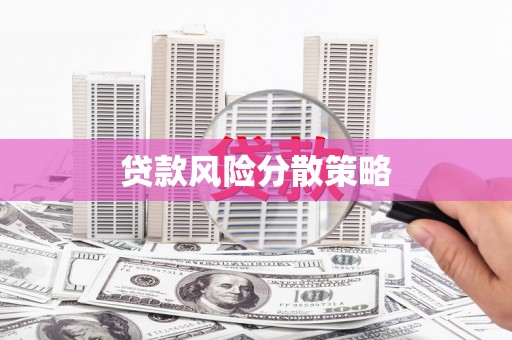 大甲贷款风险分散策略