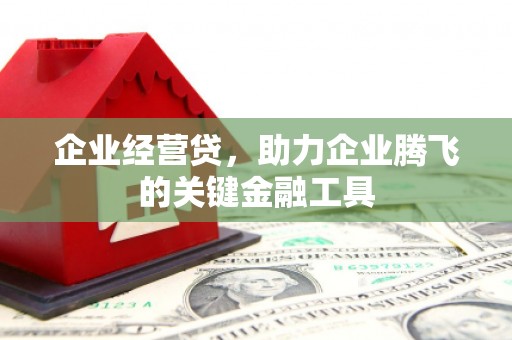 大甲企业经营贷，助力企业腾飞的关键金融工具