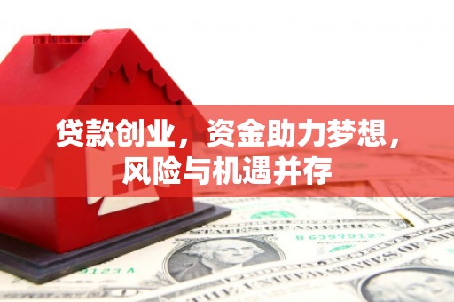 大甲贷款创业，资金助力梦想，风险与机遇并存