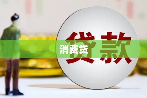 大甲消费贷