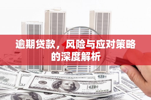大甲逾期贷款，风险与应对策略的深度解析