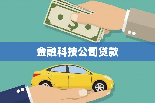 大甲金融科技公司贷款