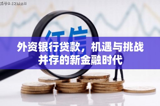 大甲外资银行贷款，机遇与挑战并存的新金融时代