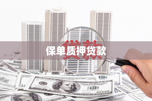 大甲保单质押贷款