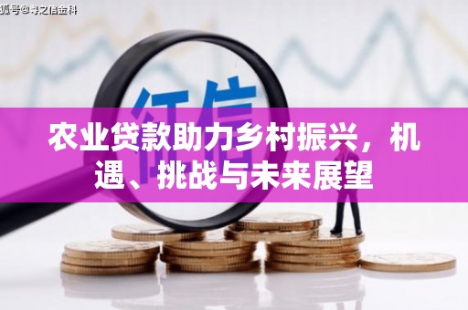 大甲农业贷款助力乡村振兴，机遇、挑战与未来展望