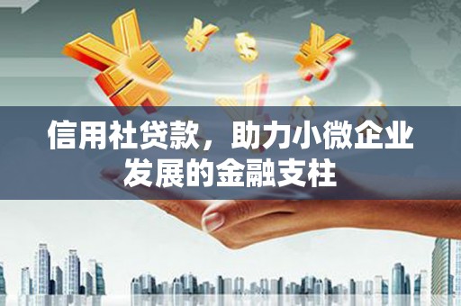 大甲信用社贷款，助力小微企业发展的金融支柱