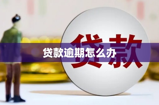 大甲贷款逾期怎么办