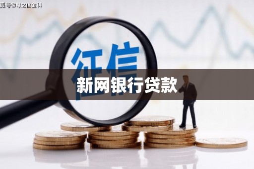 大甲新网银行贷款