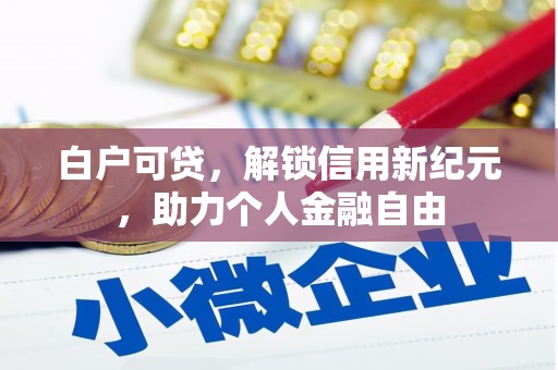 大甲白户可贷，解锁信用新纪元，助力个人金融自由