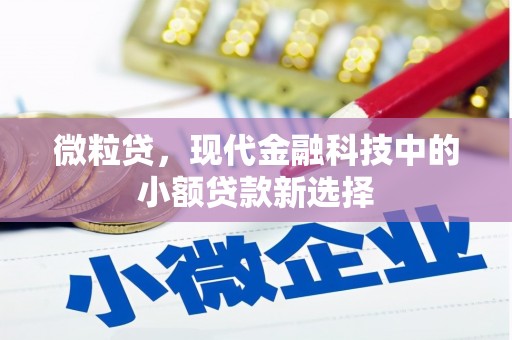 大甲微粒贷，现代金融科技中的小额贷款新选择