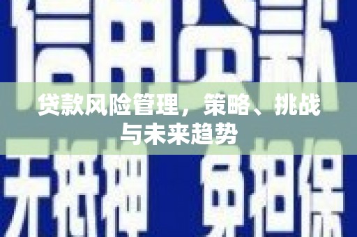 大甲贷款风险管理，策略、挑战与未来趋势