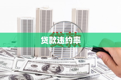 大甲贷款违约率
