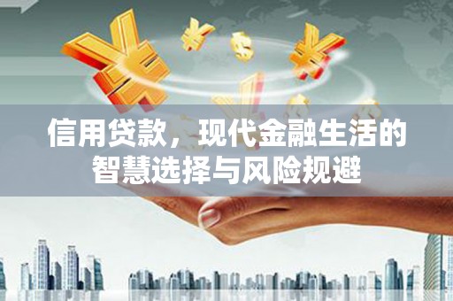 大甲信用贷款，现代金融生活的智慧选择与风险规避