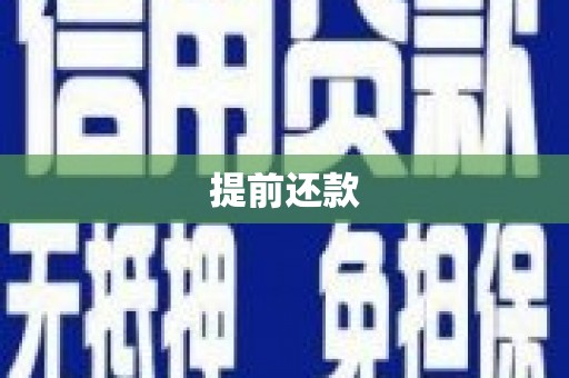 大甲提前还款