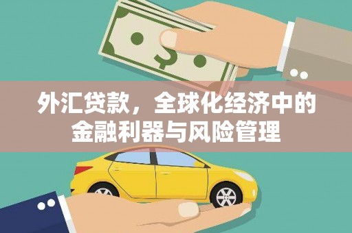 大甲外汇贷款，全球化经济中的金融利器与风险管理