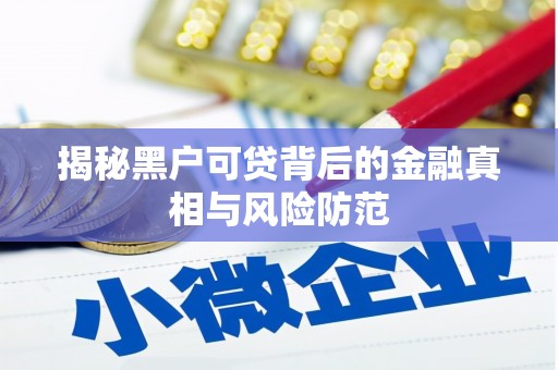 大甲揭秘黑户可贷背后的金融真相与风险防范