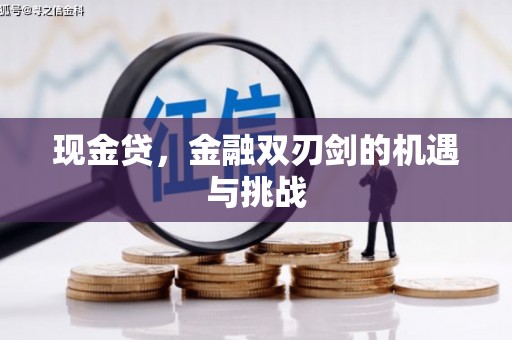 大甲现金贷，金融双刃剑的机遇与挑战