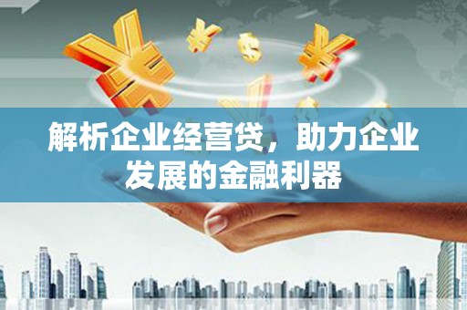 大甲解析企业经营贷，助力企业发展的金融利器