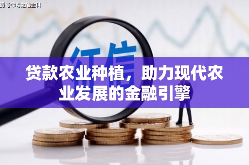 大甲贷款农业种植，助力现代农业发展的金融引擎