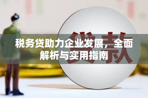 大甲税务贷助力企业发展，全面解析与实用指南