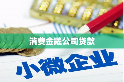 大甲消费金融公司贷款