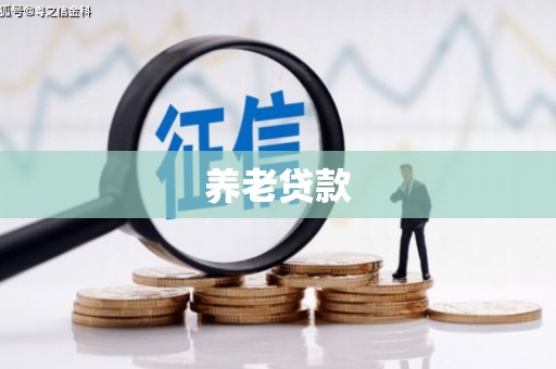 大甲养老贷款