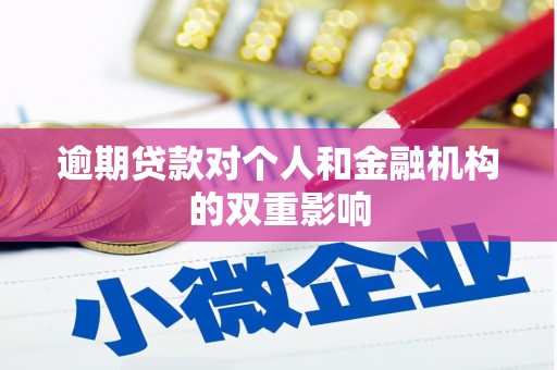大甲逾期贷款对个人和金融机构的双重影响